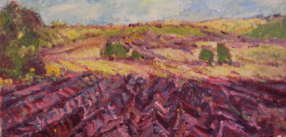 Lavender Field