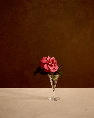 Camellia