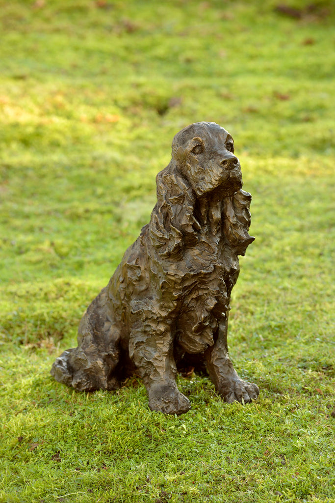 Polly (Cocker Spaniel)