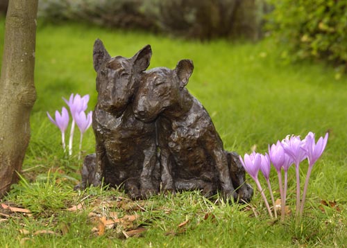 Bodger and Ben (English Bull Terriers)