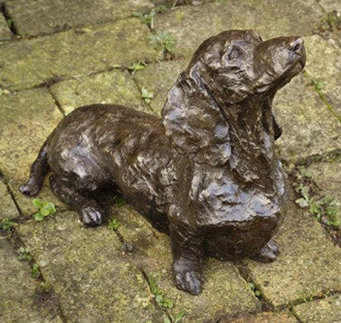 Smartie (Dachshund)