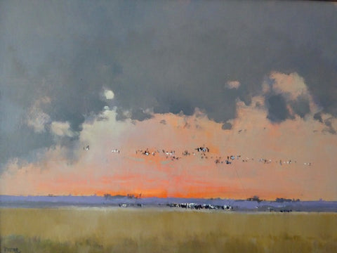 Brian Ryder ROI FIEA